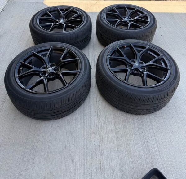 Mustang GT 19” PP2 Wheels and Tires